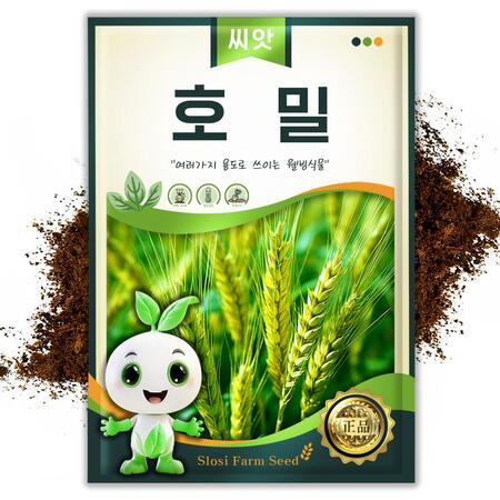 슬로시 호밀씨앗 재배용 호밀씨 6kg